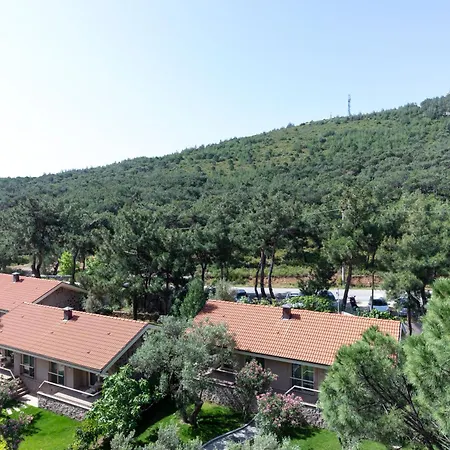 D Murat Reis Ayvalık 5*